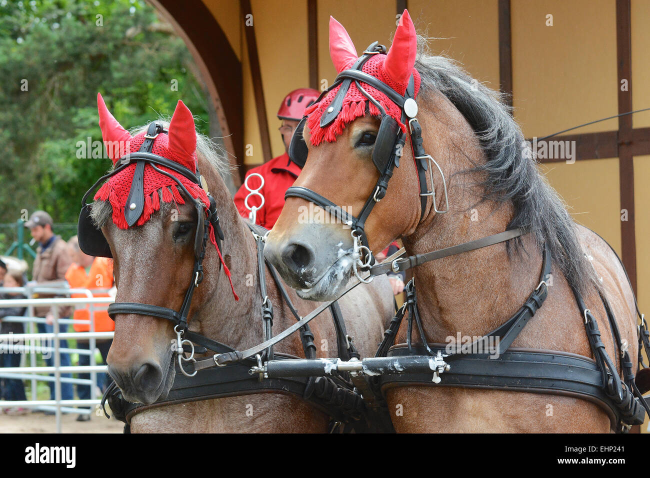 Les Européens plus grand projet de horse show Banque D'Images