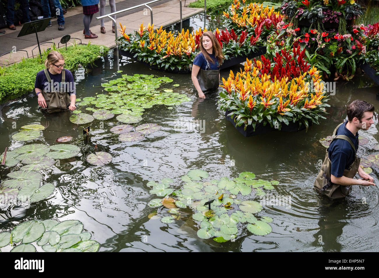 Londres, Royaume-Uni. 16 mars, 2015. Le Princess of Wales conservatory au Royal Botanical Gardens, Kew Crédit : Guy Josse/Alamy Live News Banque D'Images