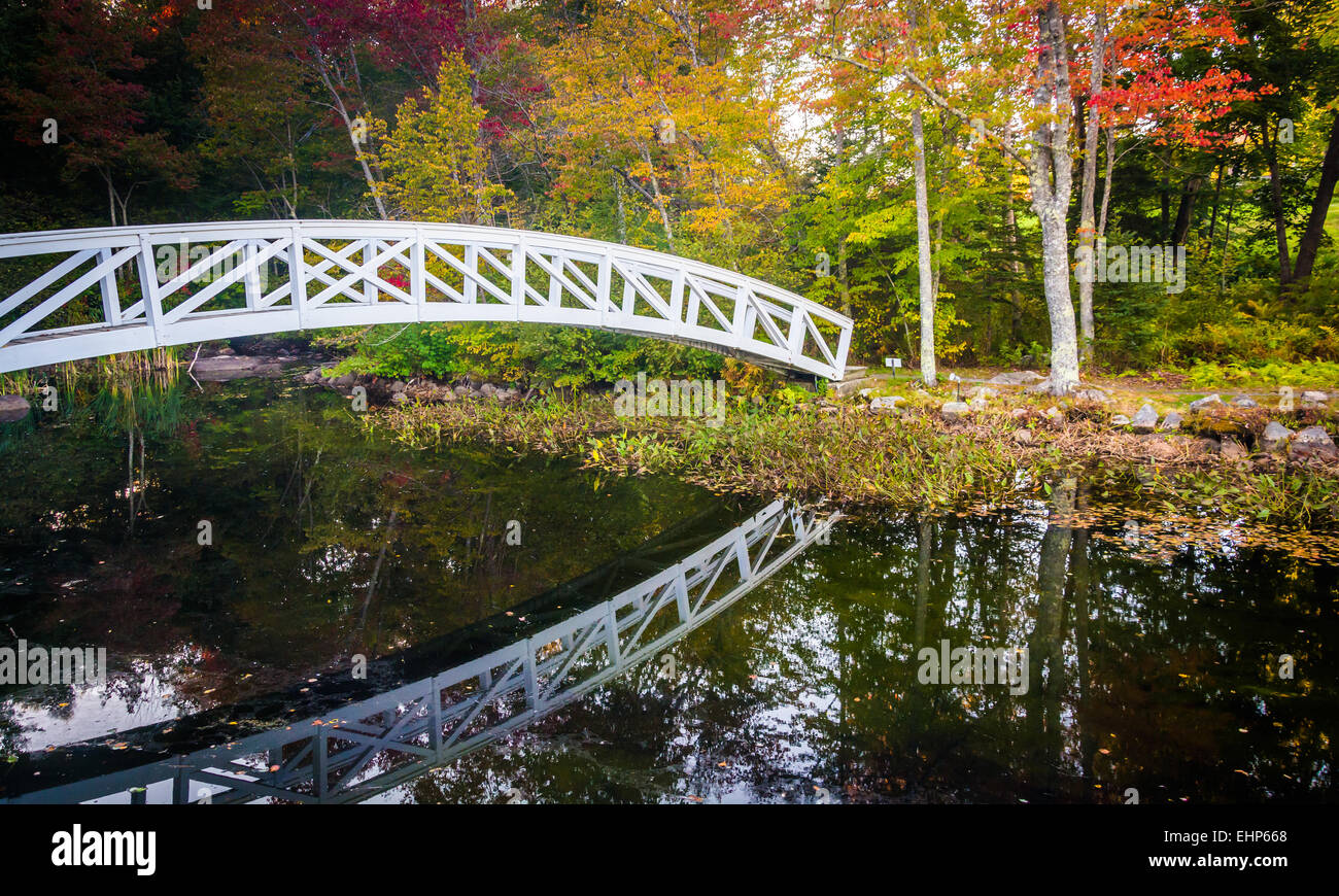 La couleur en automne et la marche à pied pont sur un étang à Somesville, Maine. Banque D'Images