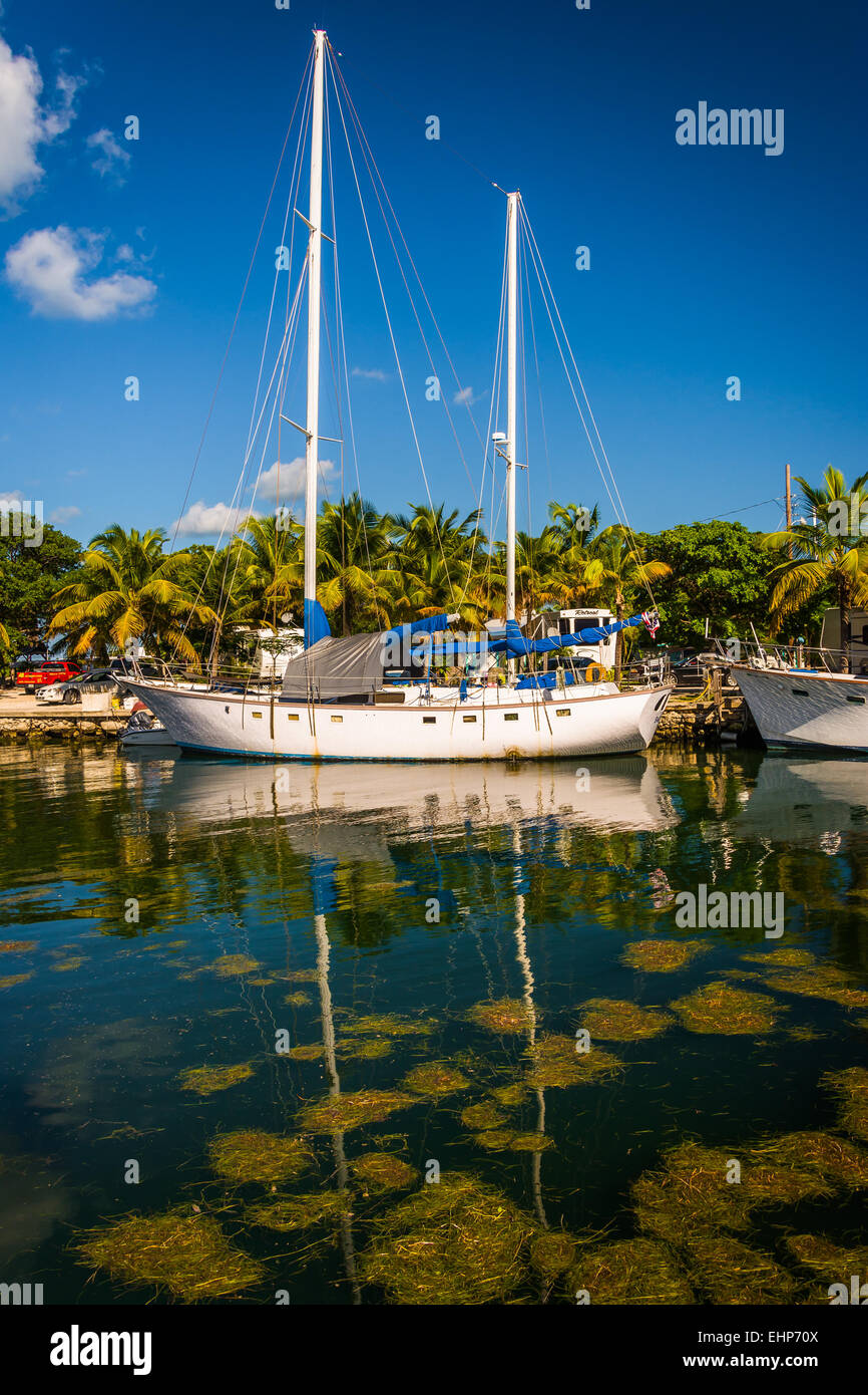 Bateaux à la marina à Marathon, Floride. Banque D'Images