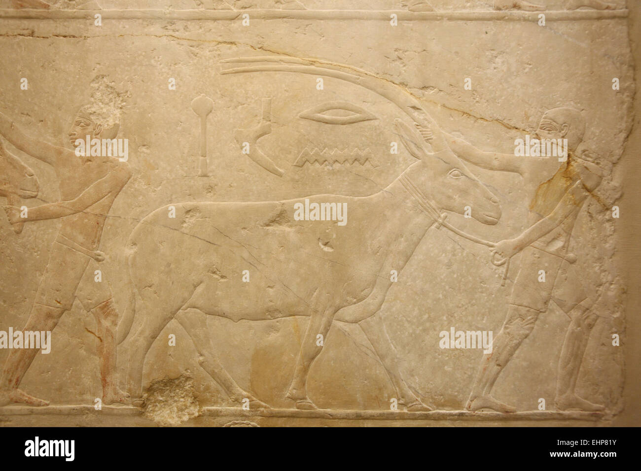 Les esclaves égyptiens et les antilopes. Statue égyptienne de l'ancien royaume sur l'affichage dans le musée du Louvre à Paris, France. Banque D'Images