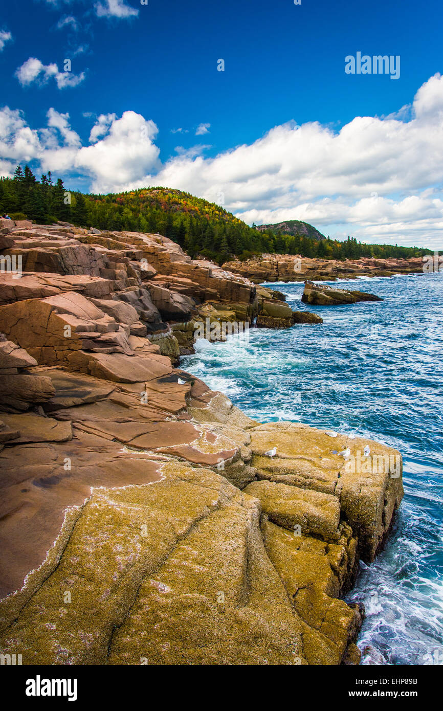 Les falaises et l'océan Atlantique dans l'Acadia National Park, Maine. Banque D'Images