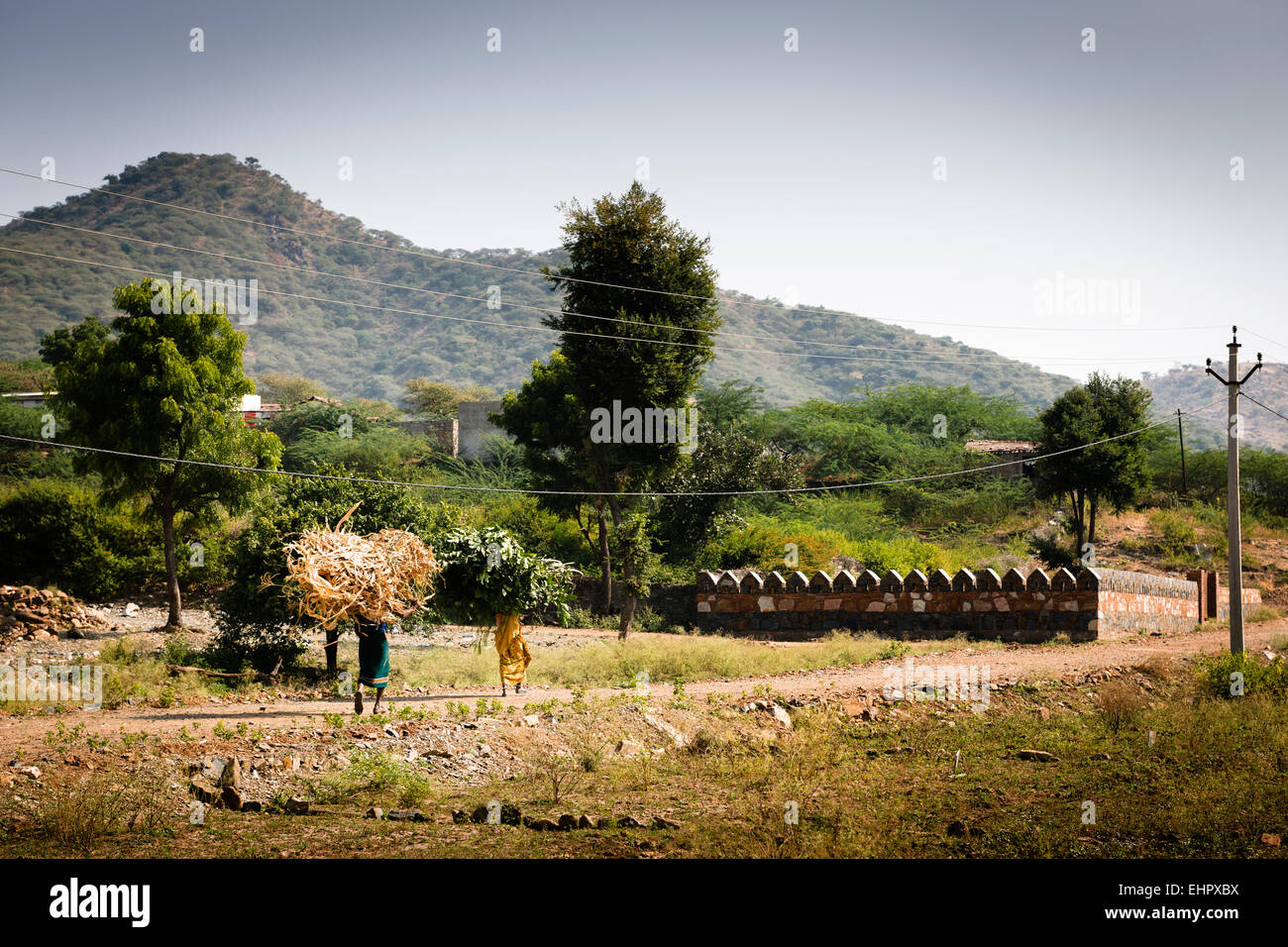 Un village dans la campagne en dehors de Udaipur. Banque D'Images