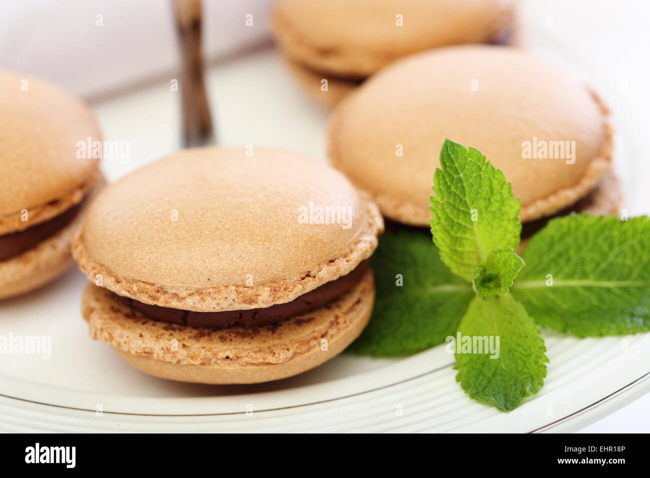 Gâteau aux amandes avec la menthe et le chocolat noir. Banque D'Images