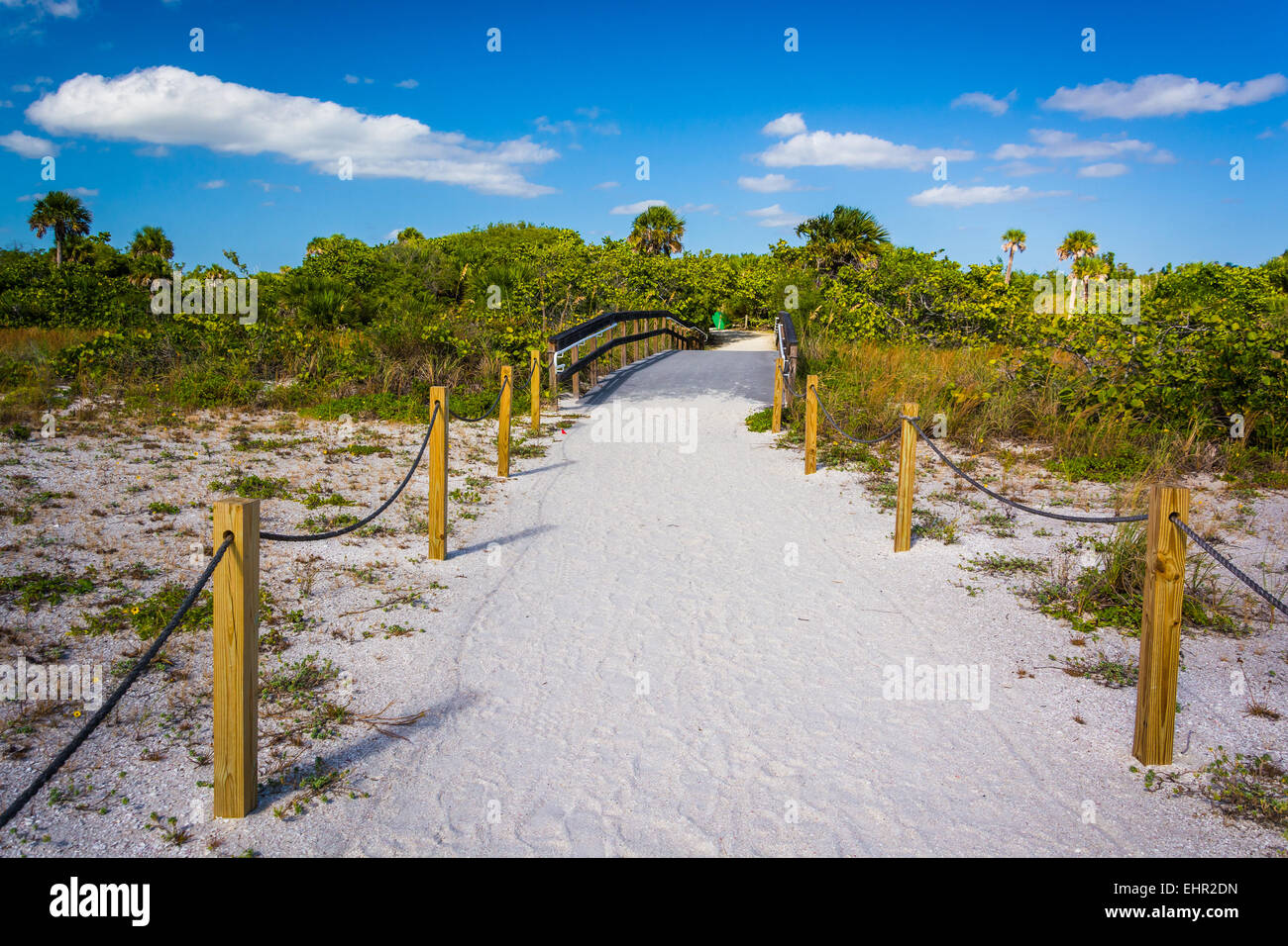 Sentier jusqu'à la plage de Fort Myers, en Floride. Banque D'Images
