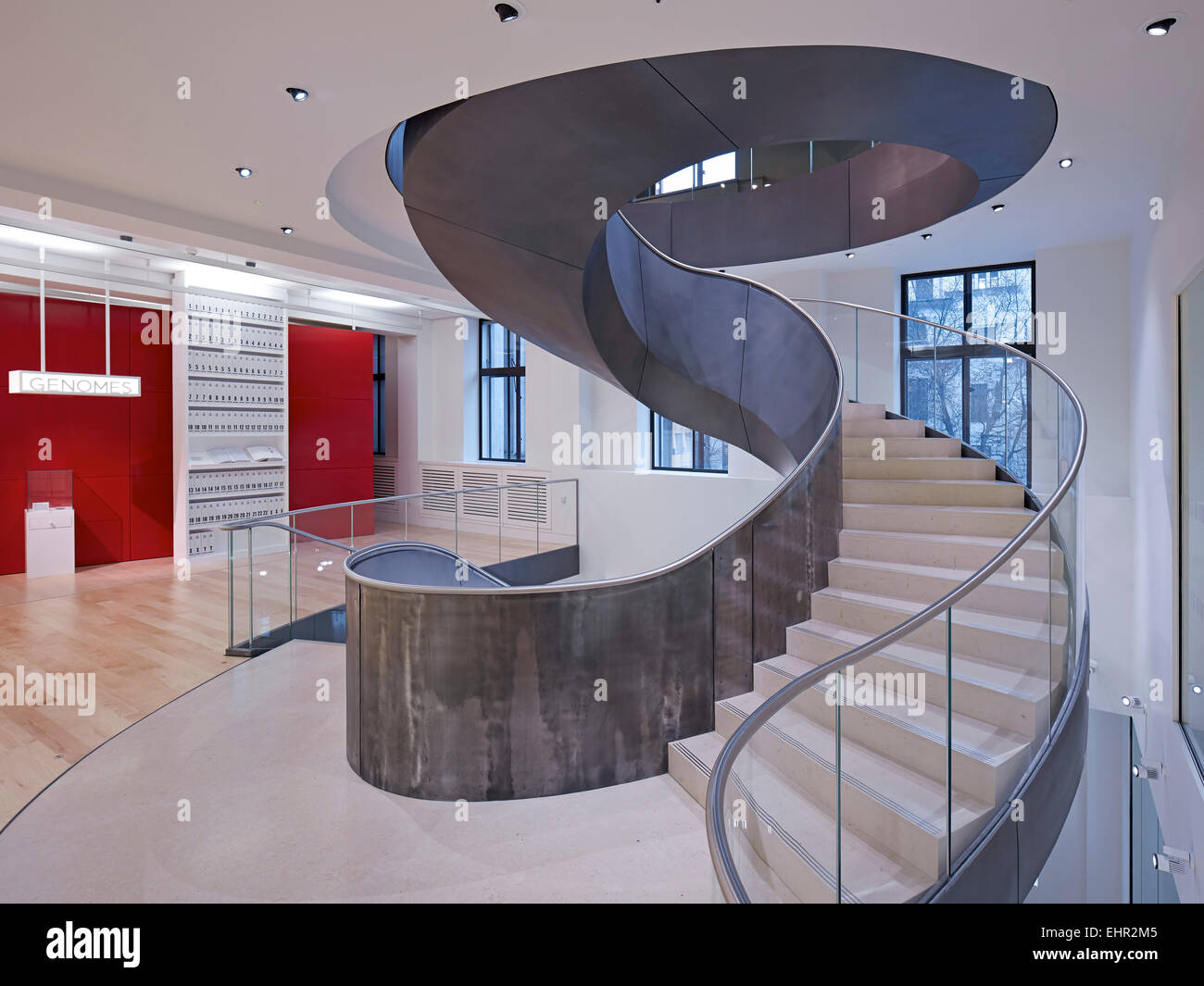 Vues autour de la mi-niveau. La Wellcome Collection escalier, Euston, Royaume-Uni. Architecte : Wilkinson Eyre Architects, 2015. Banque D'Images