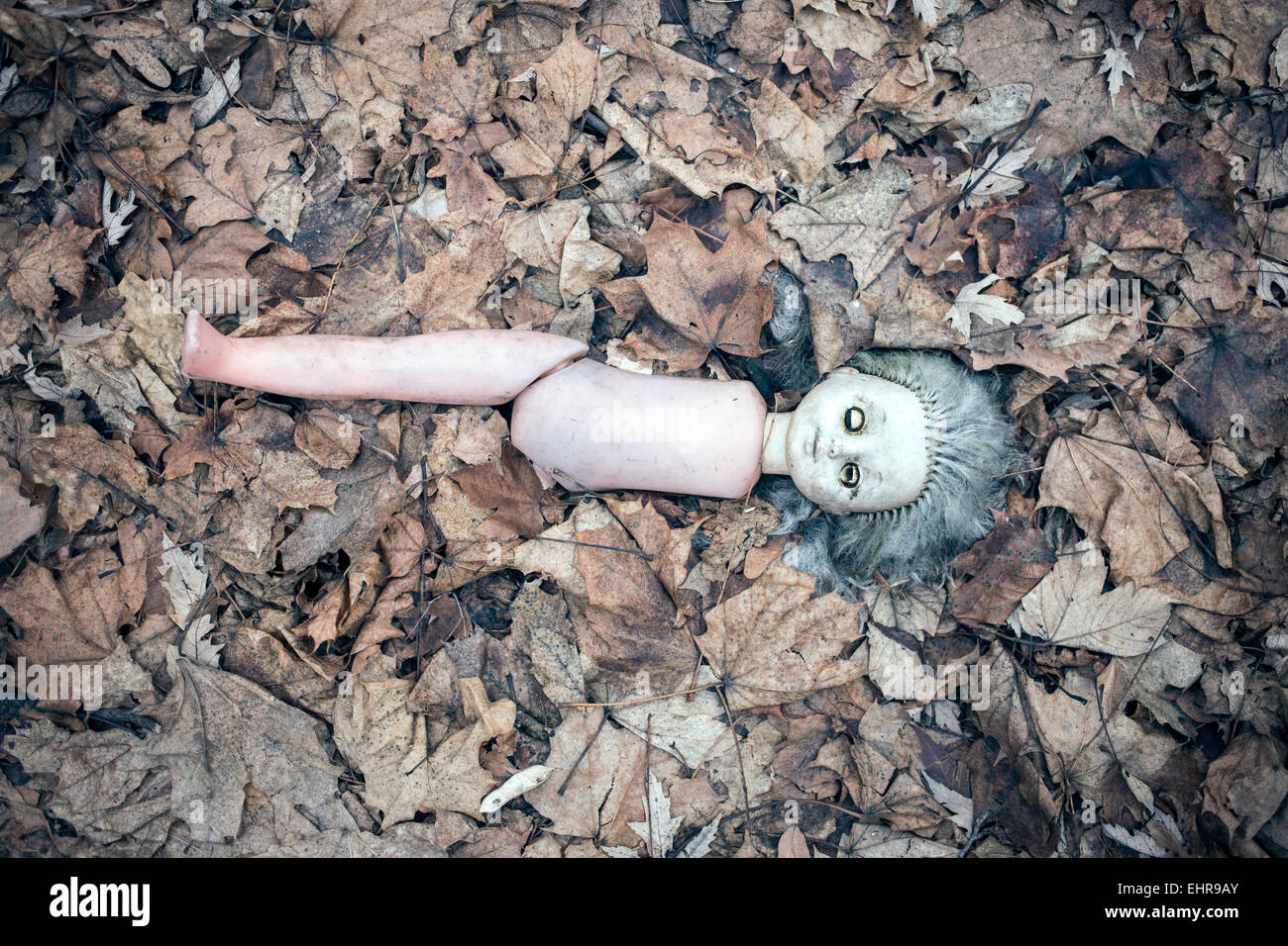 Broken doll couché dans le jardin de devant d'un jardin d'enfants abandonnés, village dans la zone contaminée autour de Tchernobyl, Kopachi Banque D'Images