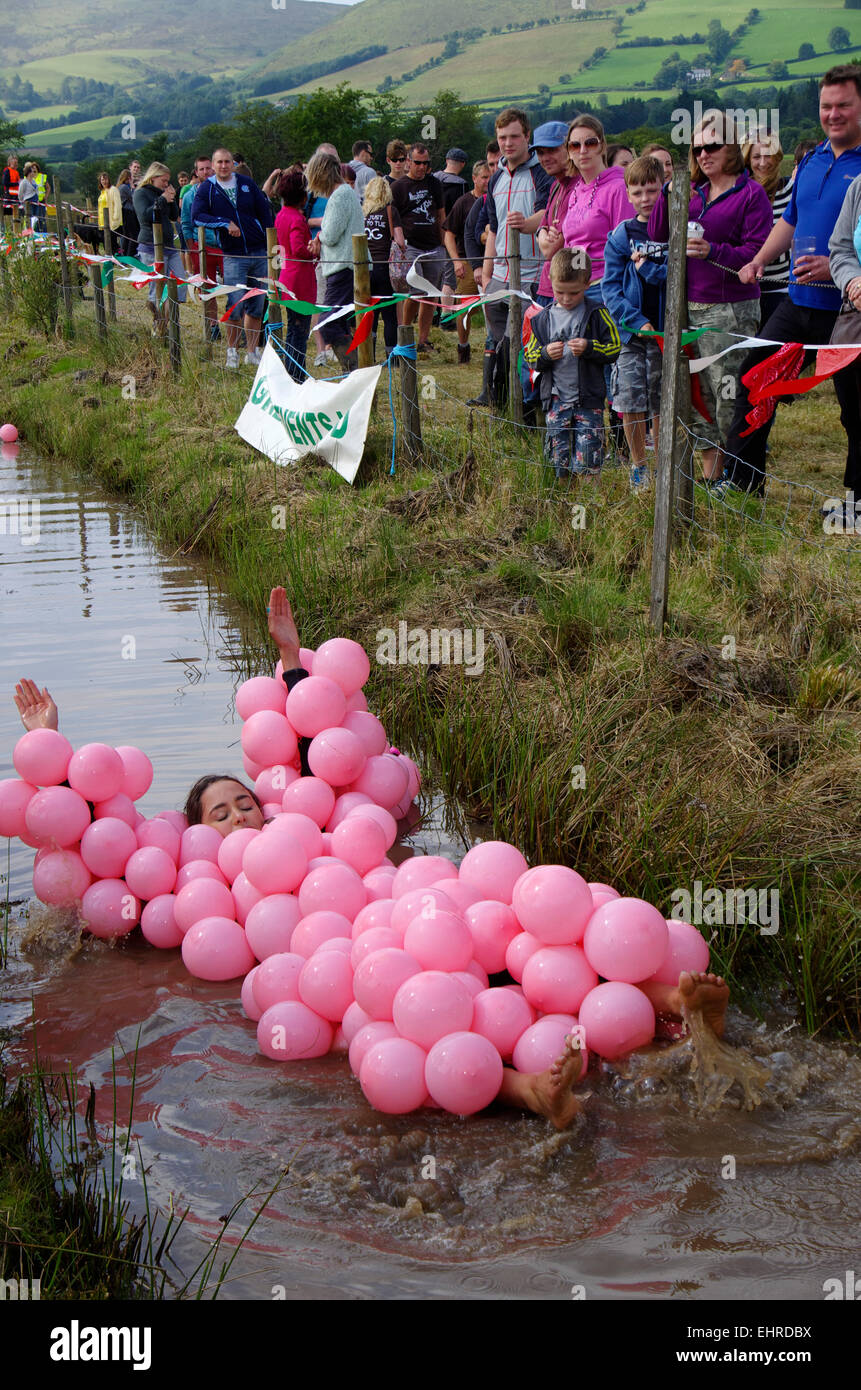 Bog snorkelling, Llanwrtyd Wells, Mid Wales Banque D'Images