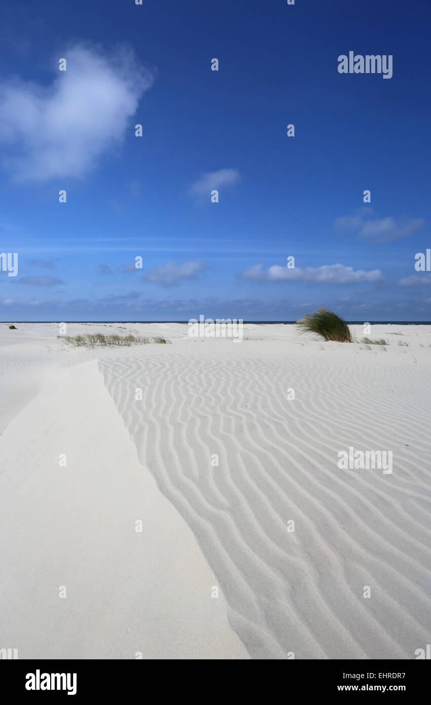 La plage de sable de dune - Banque D'Images