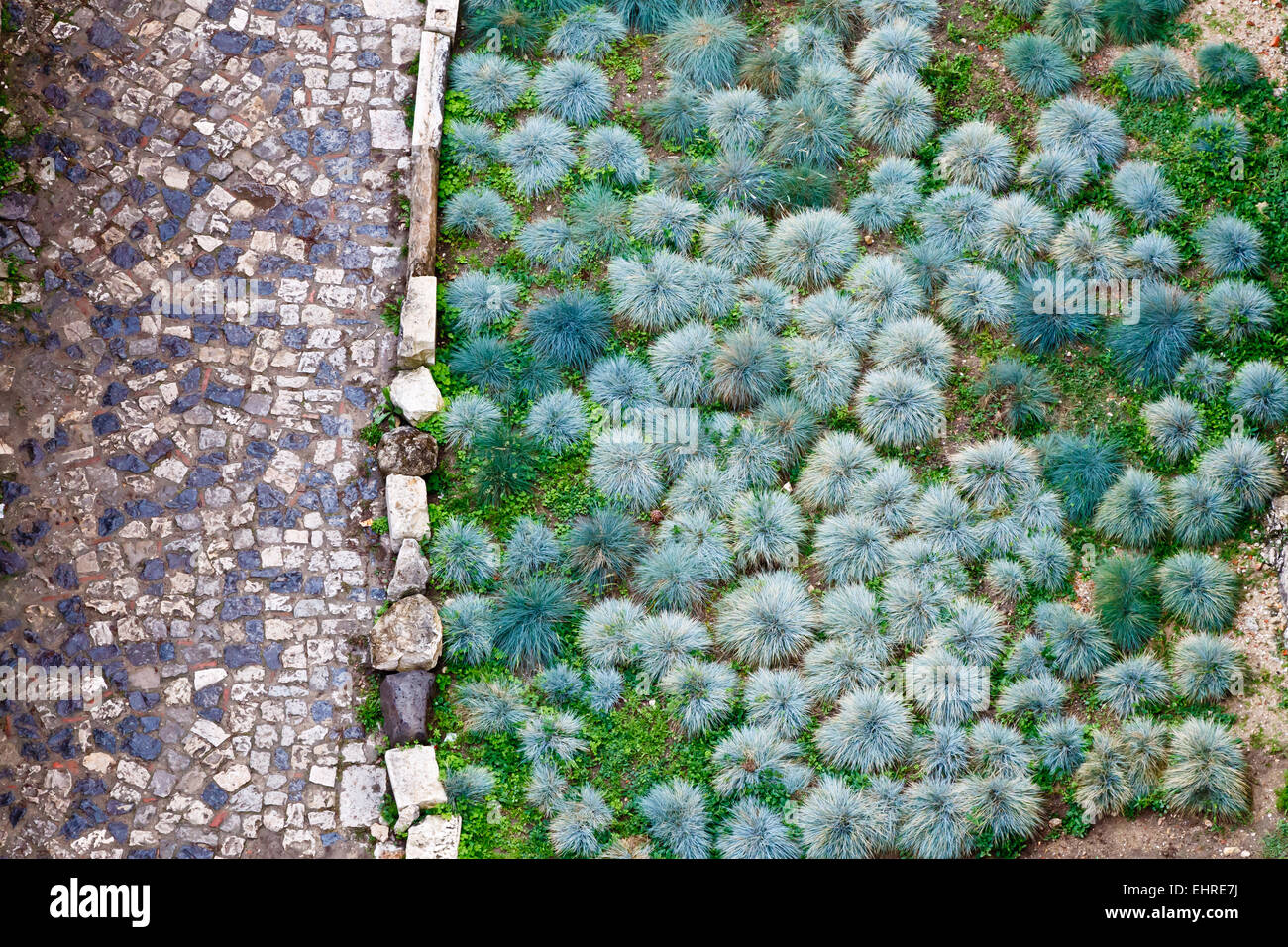Route pavée et plantes vertes motif dans le château Saint-Georges de Lisbonne, Portugal Banque D'Images