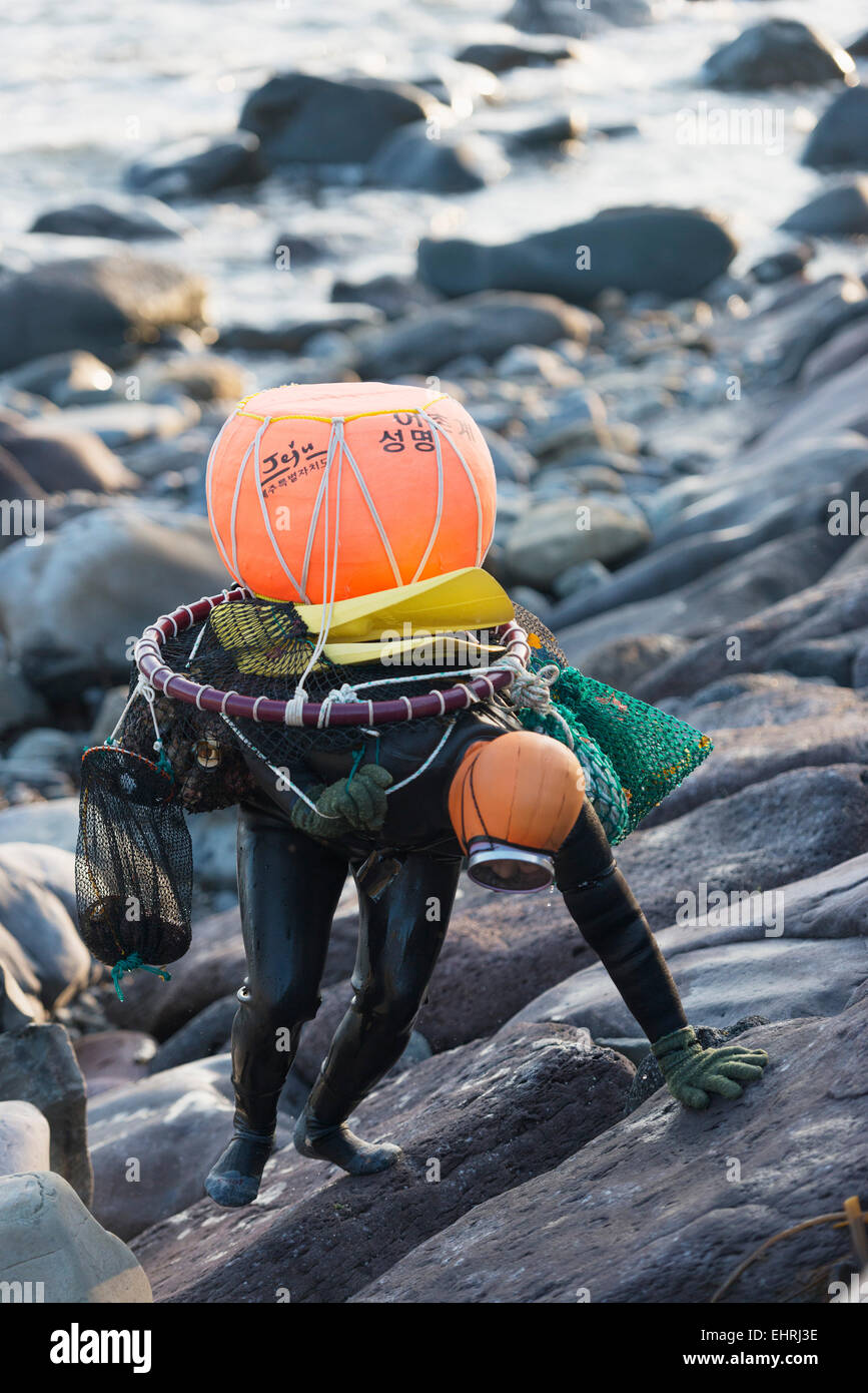 L'Asie, République de Corée, Corée du Sud, l'île de Jeju Seogwipo City, haenyo (femmes) la mer poisson Coquille féminine diver Banque D'Images