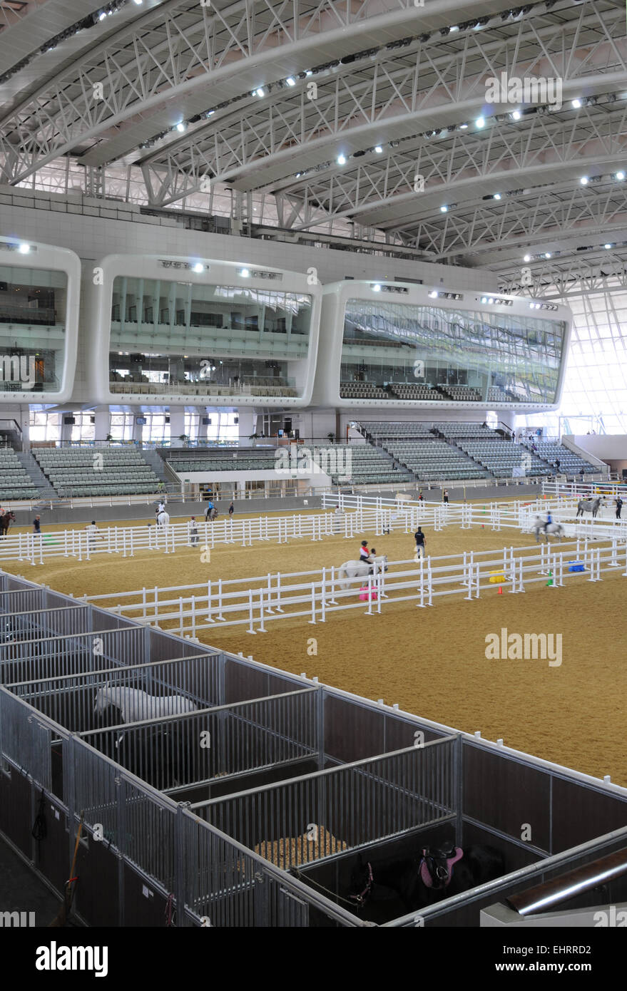 Al Shaqab Equestrian Center, Doha, Qatar. Moyen Orient. Banque D'Images