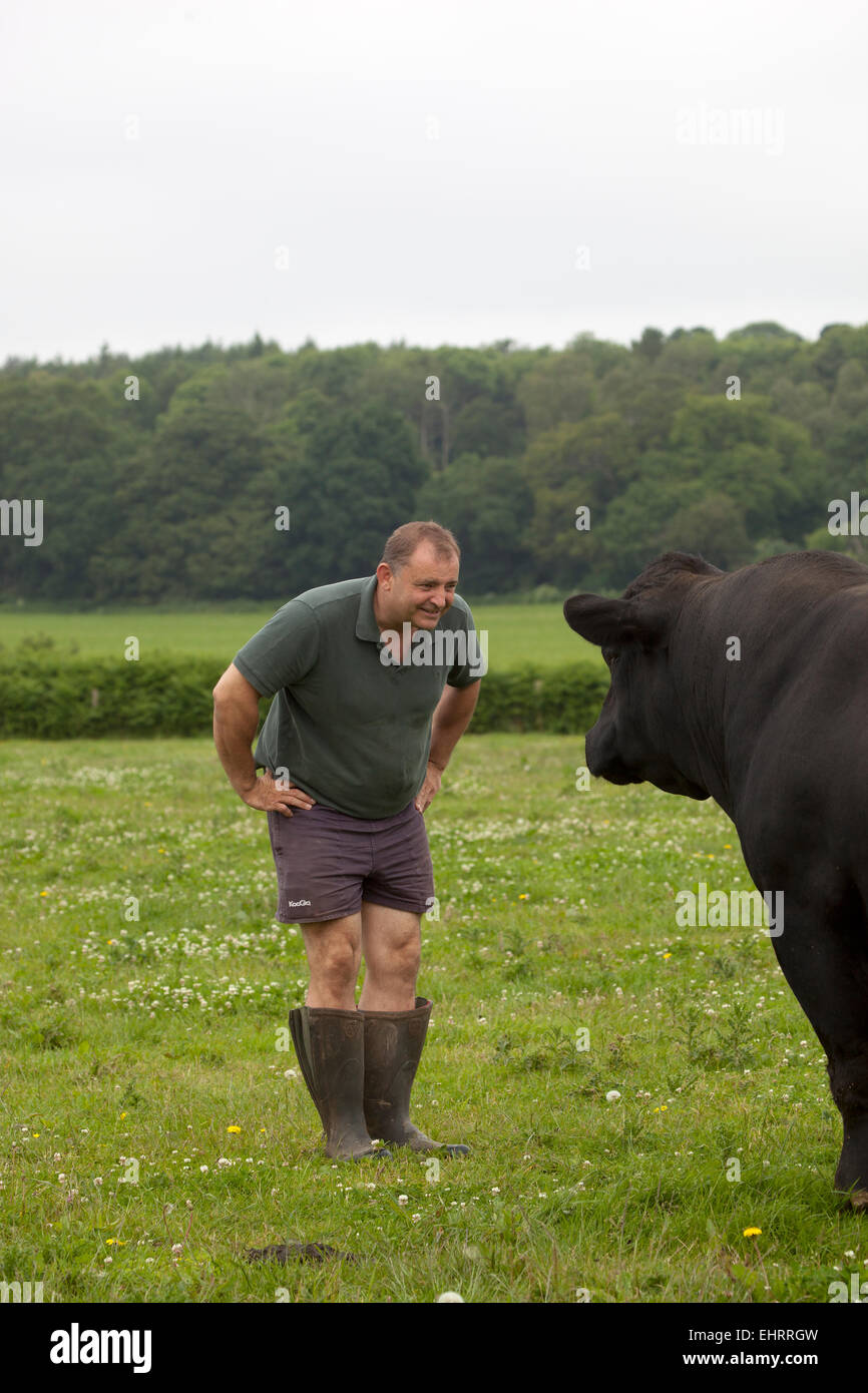 Angus Stovold éleveur de bovins, avec des bovins à sa ferme de Shackleford Surrey England Banque D'Images