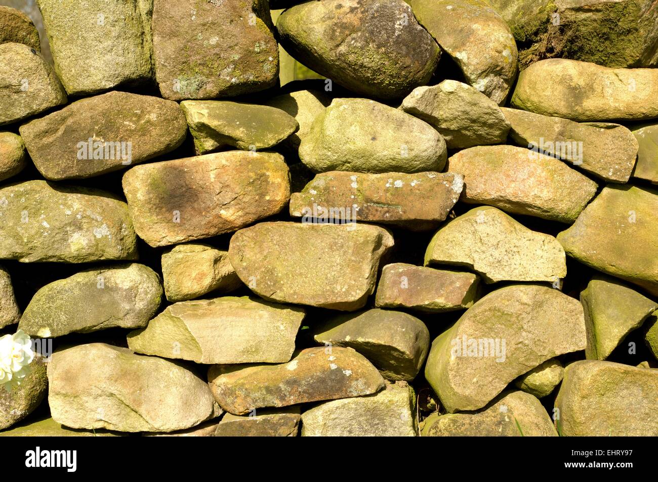 Les murs en pierre traditionnels se rapprochés au Royaume-Uni montrant la texture et les formes irrégulières Banque D'Images