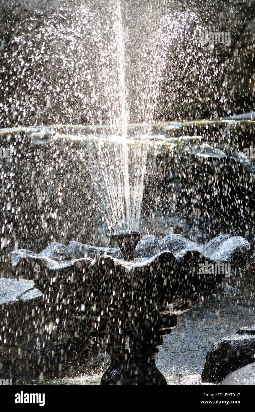 Fontaine d'eau éclairée par la lumière naturelle Banque D'Images