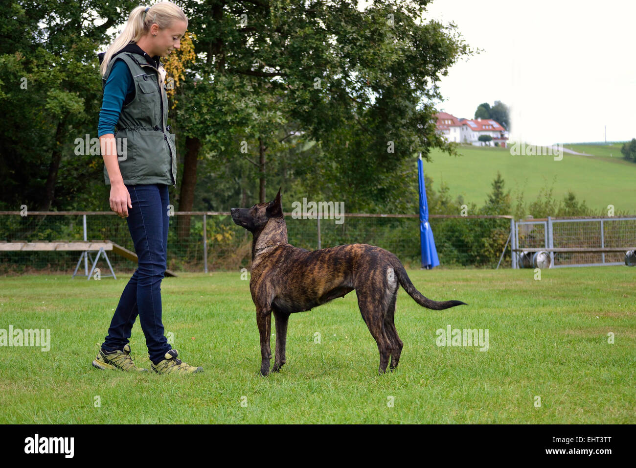 Jeune entraîneur de chien avec chien Banque D'Images