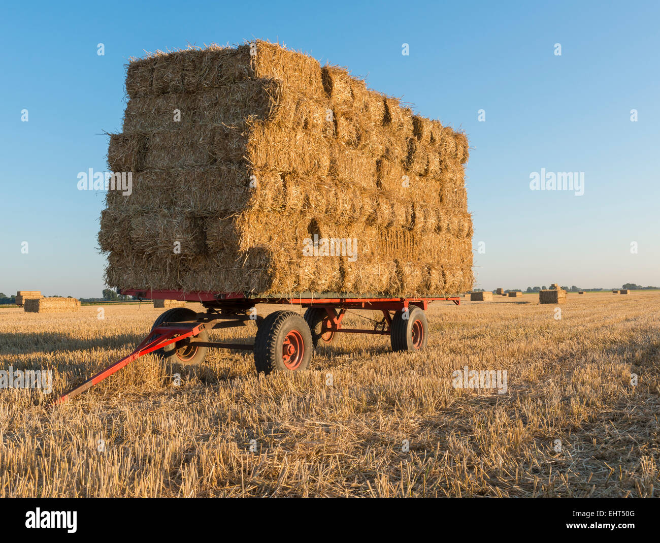 Les grandes boules de paille sur une remorque debout sur un champ. Banque D'Images
