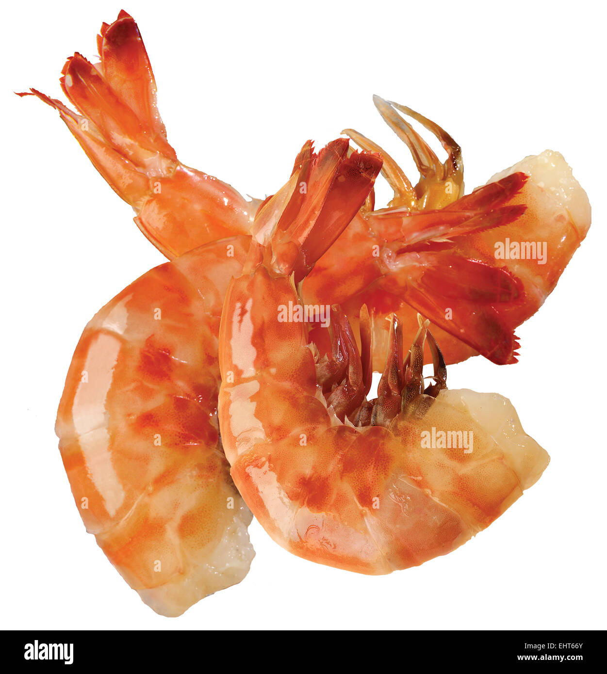 2 Crevette rose lâche Banque D'Images