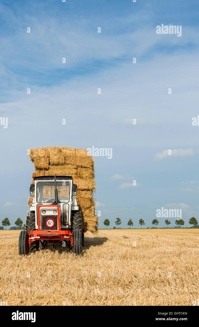 Tracteur avec des bottes de paille sur un champ de céréales. Banque D'Images