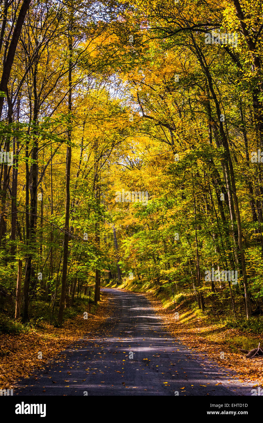 La couleur en automne le long d'une route de campagne dans les régions rurales du comté de Baltimore, Maryland. Banque D'Images
