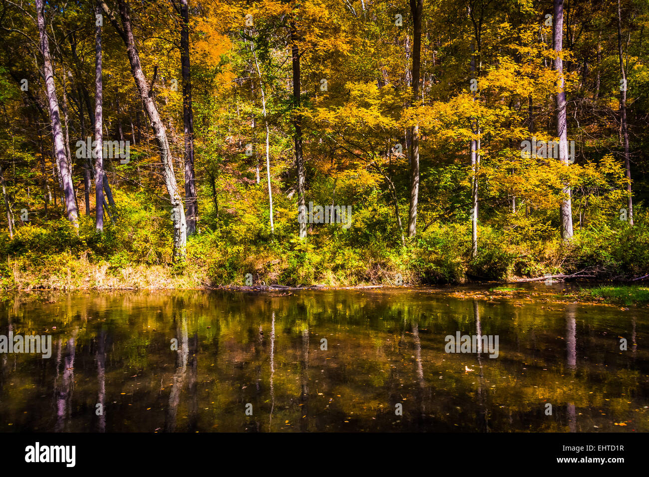 La couleur en automne le long de la rivière de la poudre La poudre Falls State Park, Maryland. Banque D'Images