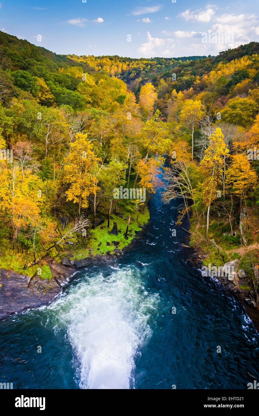 La couleur en automne le long de la rivière de la poudre vu de Prettyboy barrage dans le comté de Baltimore, Maryland. Banque D'Images