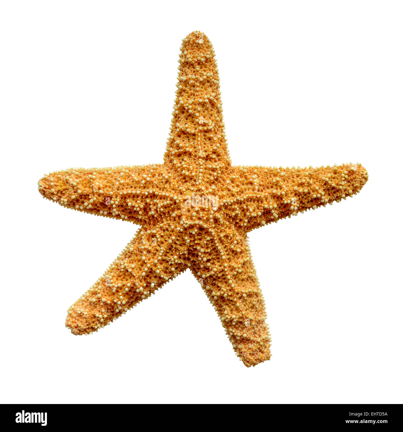 L'isolement de l'étoile avec Clipping Path Banque D'Images