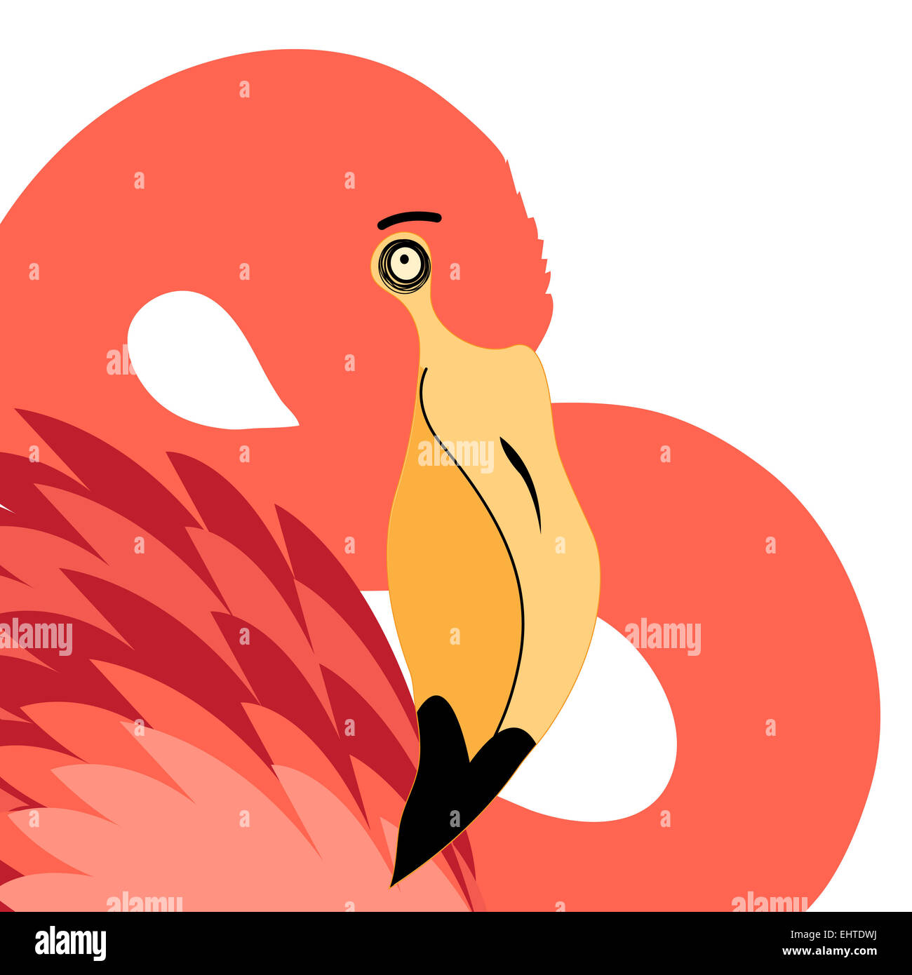 Portrait graphique de flamants sur fond blanc Banque D'Images