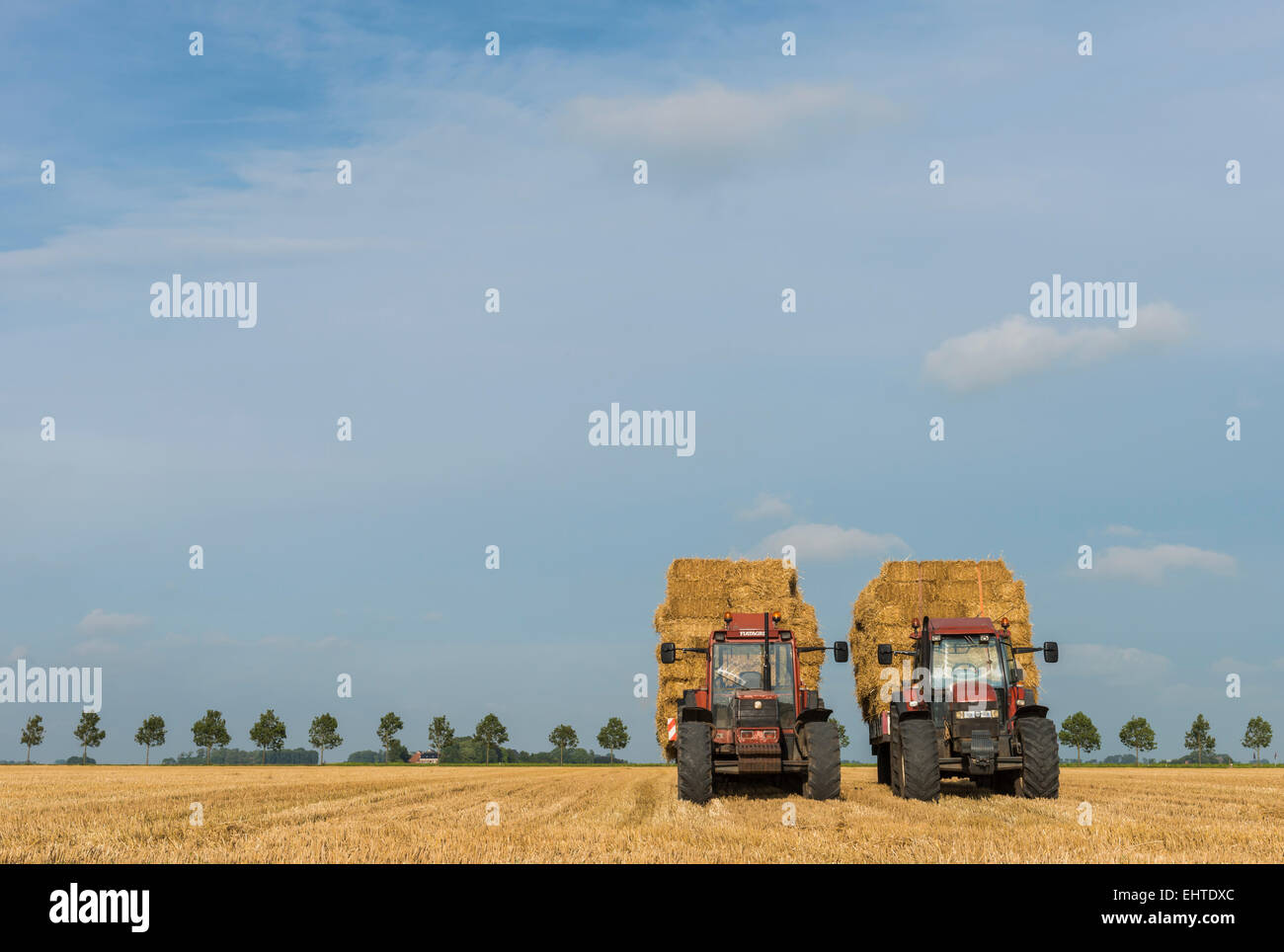 Deux tracteurs sur un champ de céréales. Récolte des bottes de paille. Banque D'Images