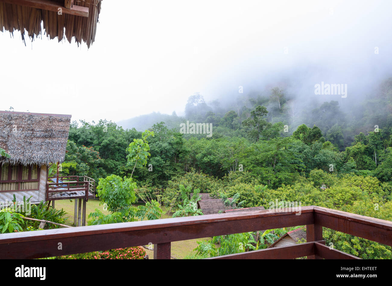 Portrait magnifique de brouillard sur la forêt et la montagne au matin du balcon cabin en resort, Thailande Banque D'Images