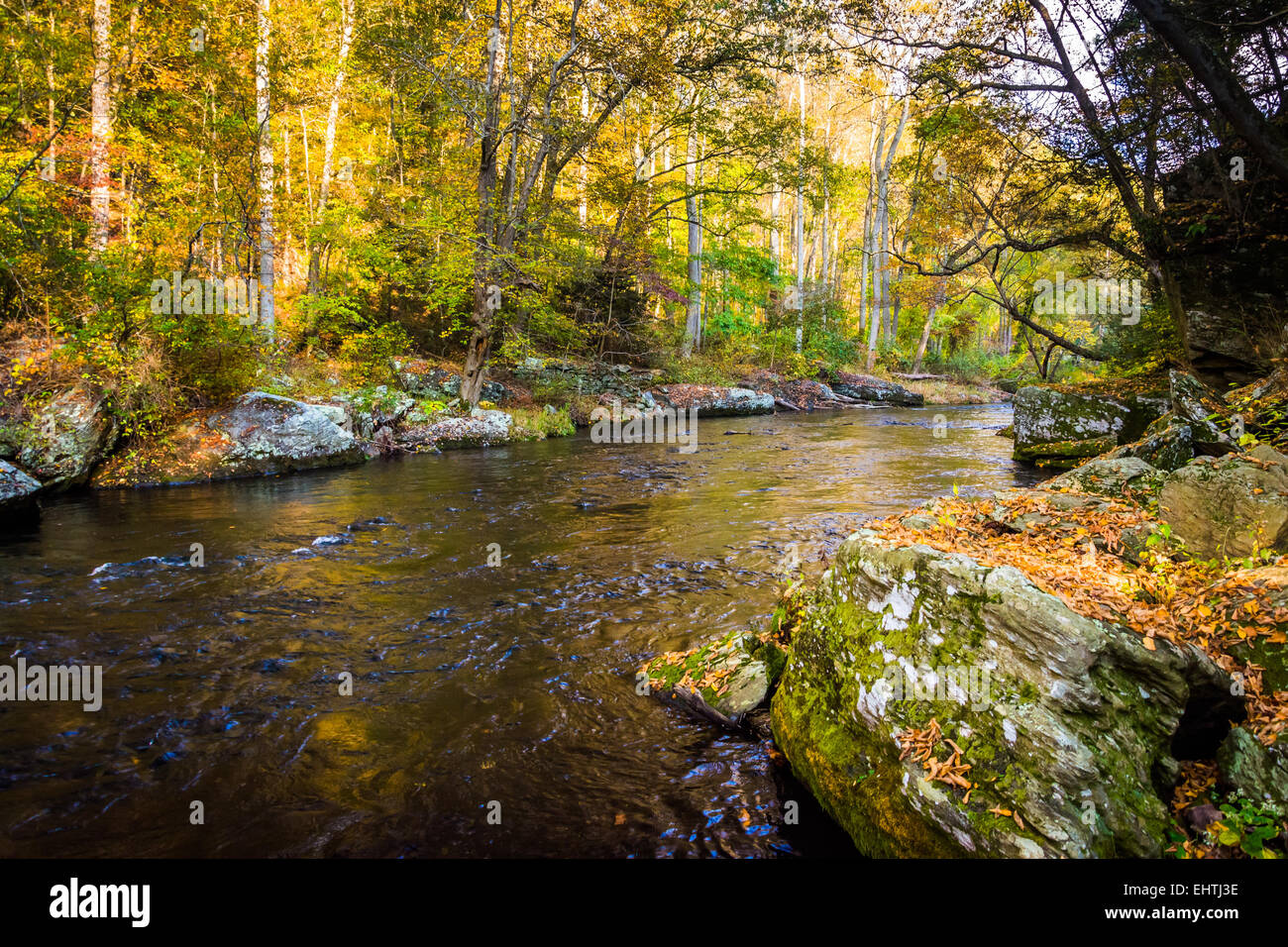Au début de l'automne le long de la couleur en poudre Poudre River Falls State Park, Maryland. Banque D'Images