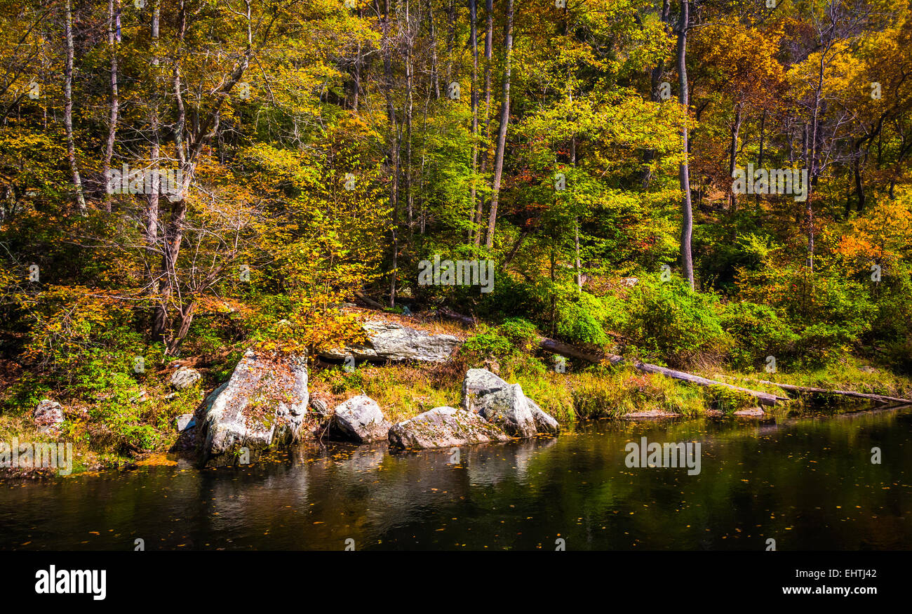 Début de l'automne couleur le long de la rivière de la poudre, en poudre Falls State Park, Maryland. Banque D'Images