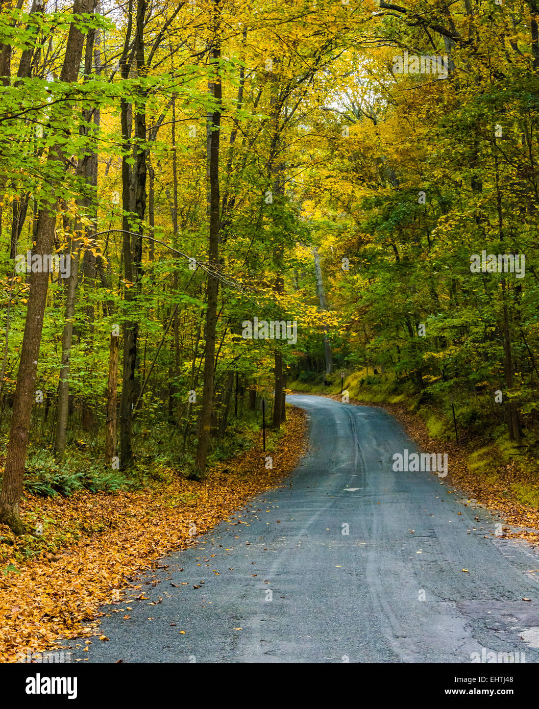 Au début de l'automne couleur le long d'une route de campagne dans les régions rurales du comté de Baltimore, Maryland. Banque D'Images