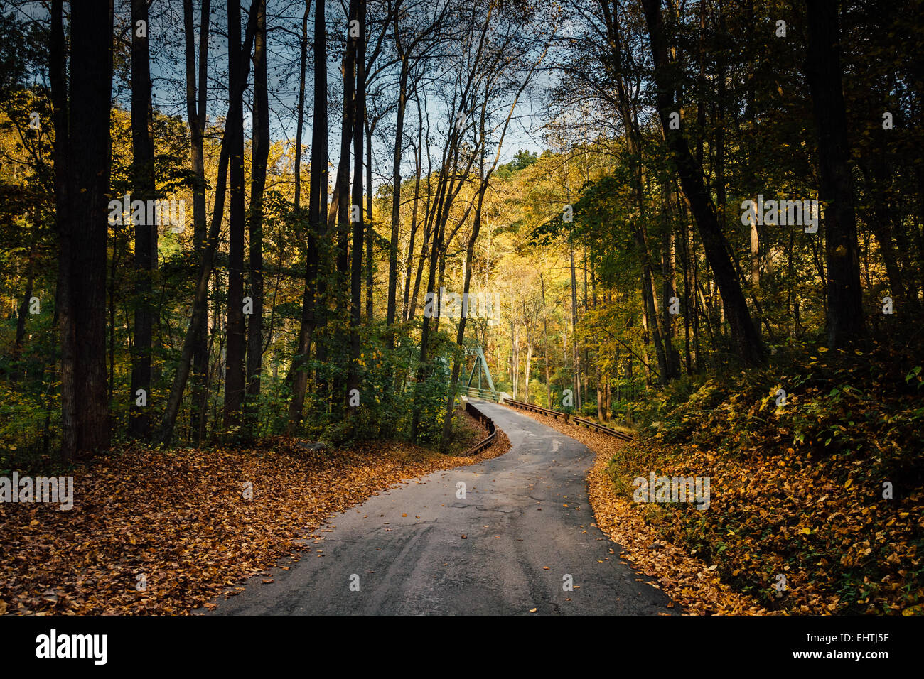 Au début de l'automne couleur sur une route rurale dans le comté de Baltimore, Maryland Banque D'Images