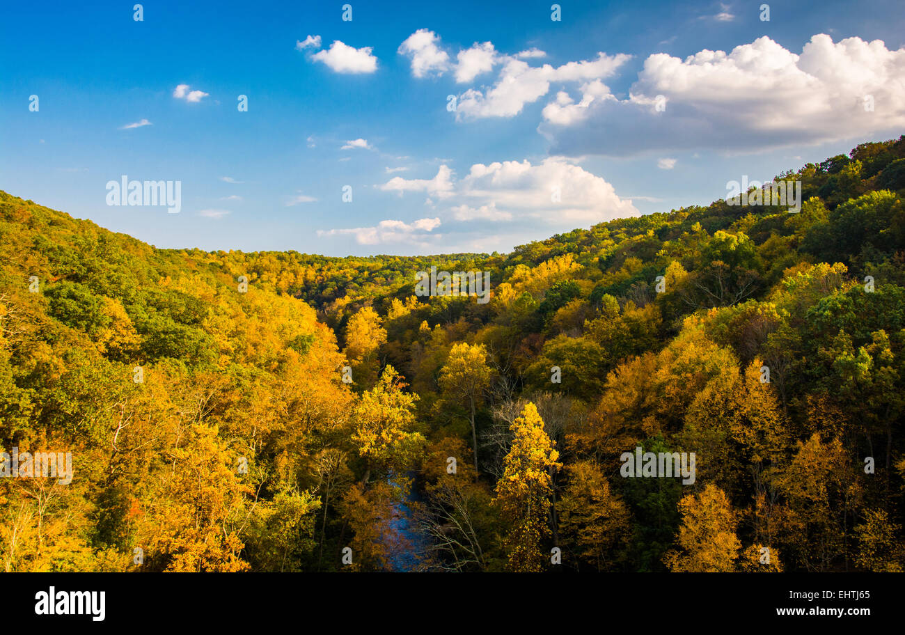 Début de l'automne couleur vu depuis le barrage de Prettyboy dans Comté de Baltimore, Maryland. Banque D'Images