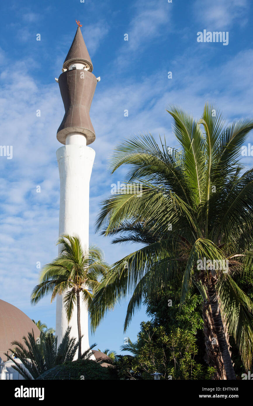 L'ÎLE DE LA RÉUNION, DOM-TOM, FRANCE Banque D'Images