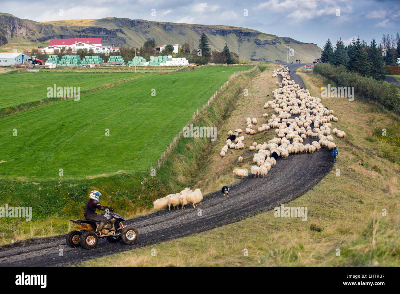 Un voyage en Islande, EUROPE Banque D'Images