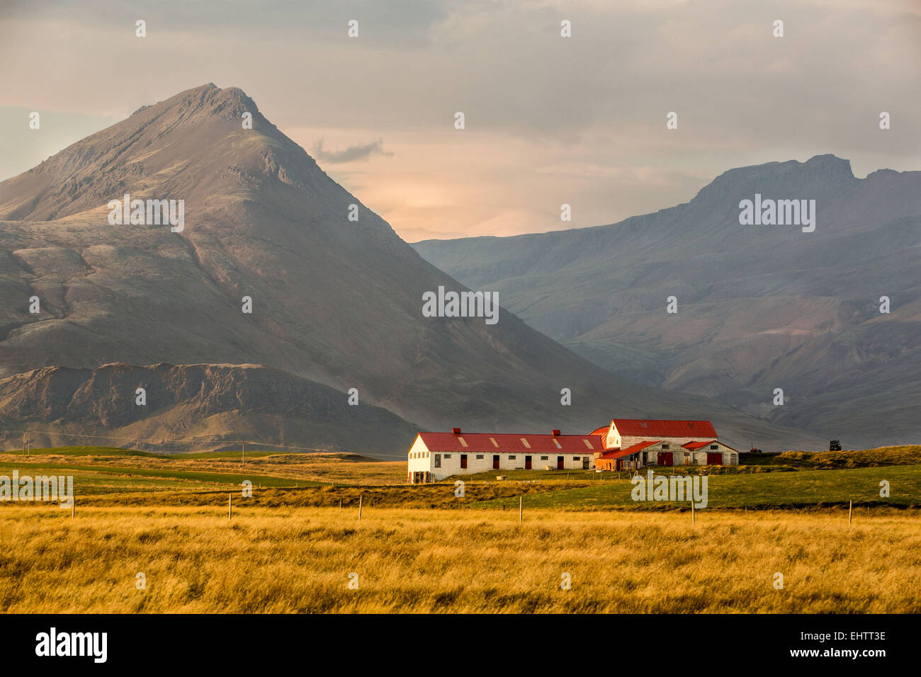 Un voyage en Islande, EUROPE Banque D'Images