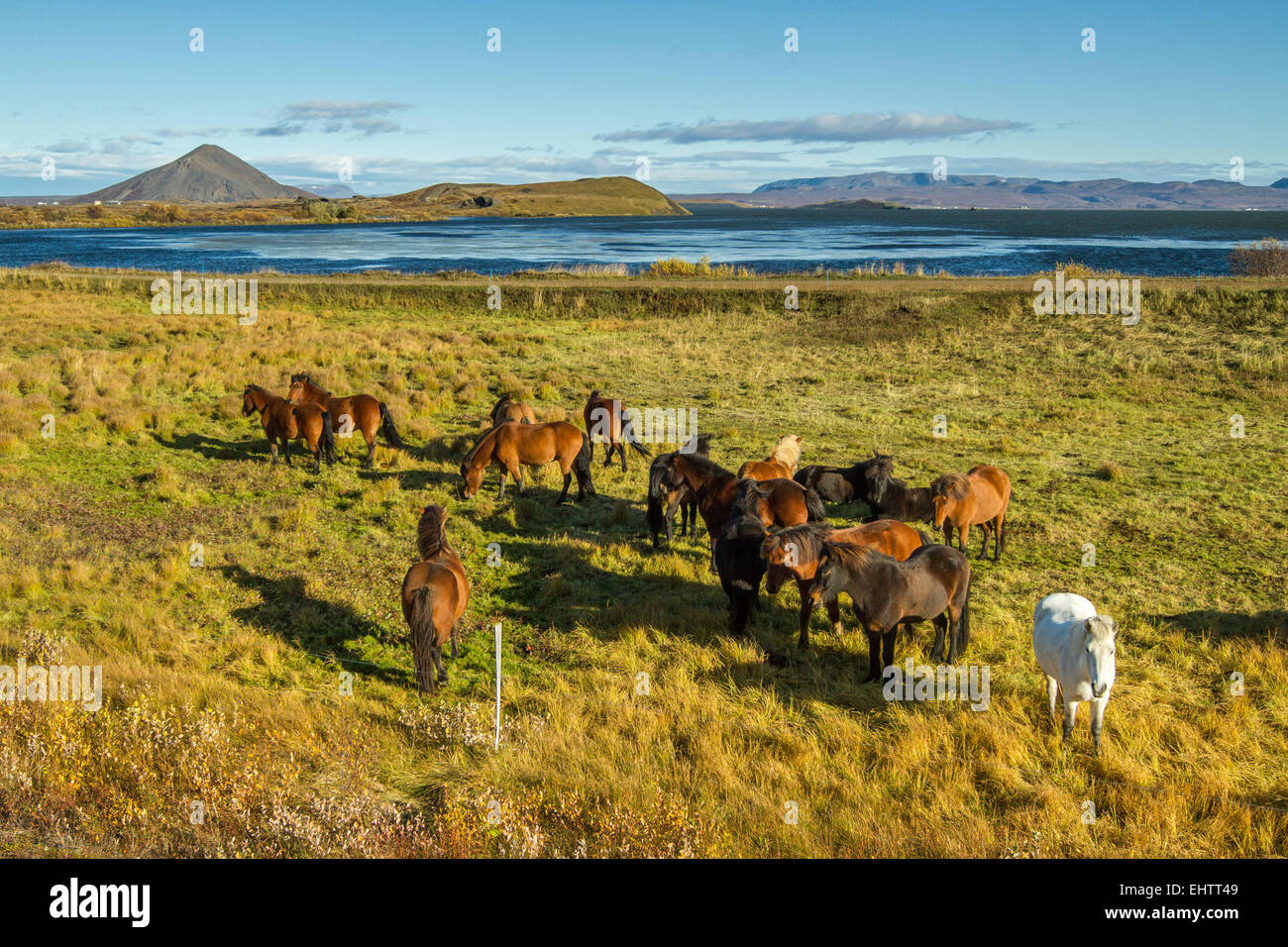 Un voyage en Islande, EUROPE Banque D'Images