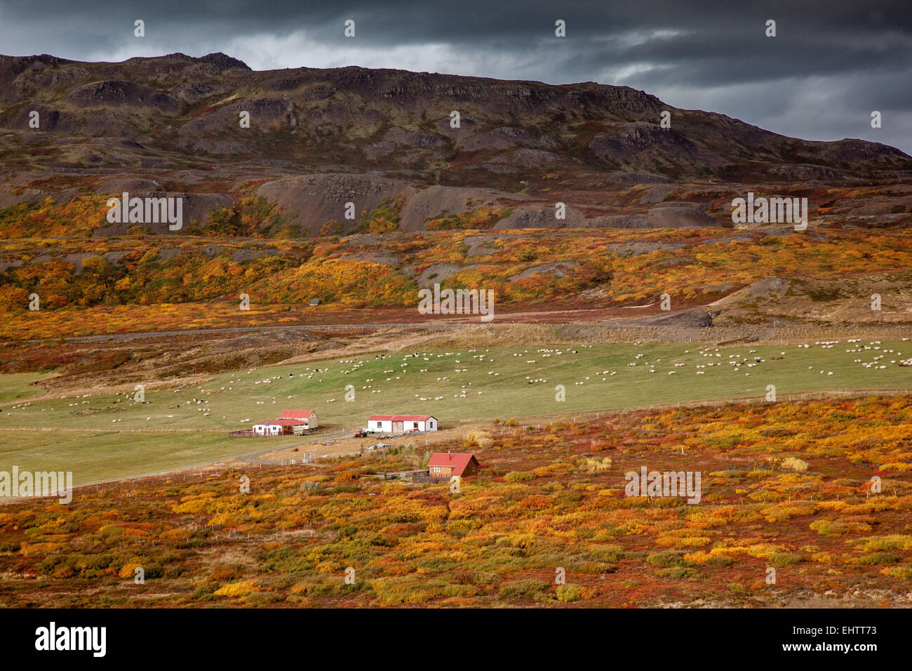 Un voyage en Islande, EUROPE Banque D'Images