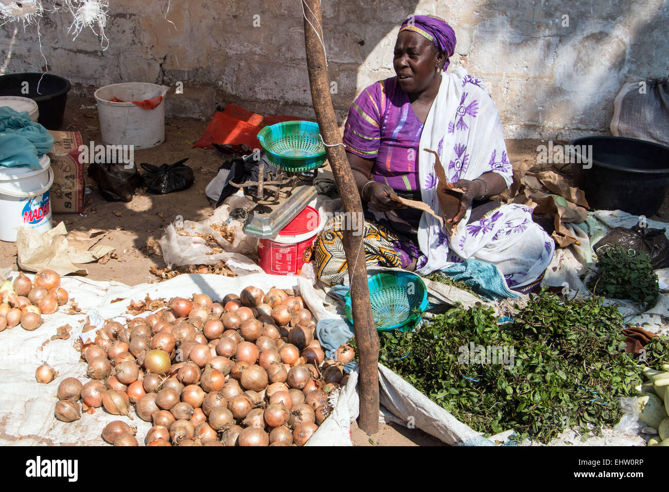 ILLUSTRATION DE L'Afrique de l'Ouest (Sénégal) Banque D'Images