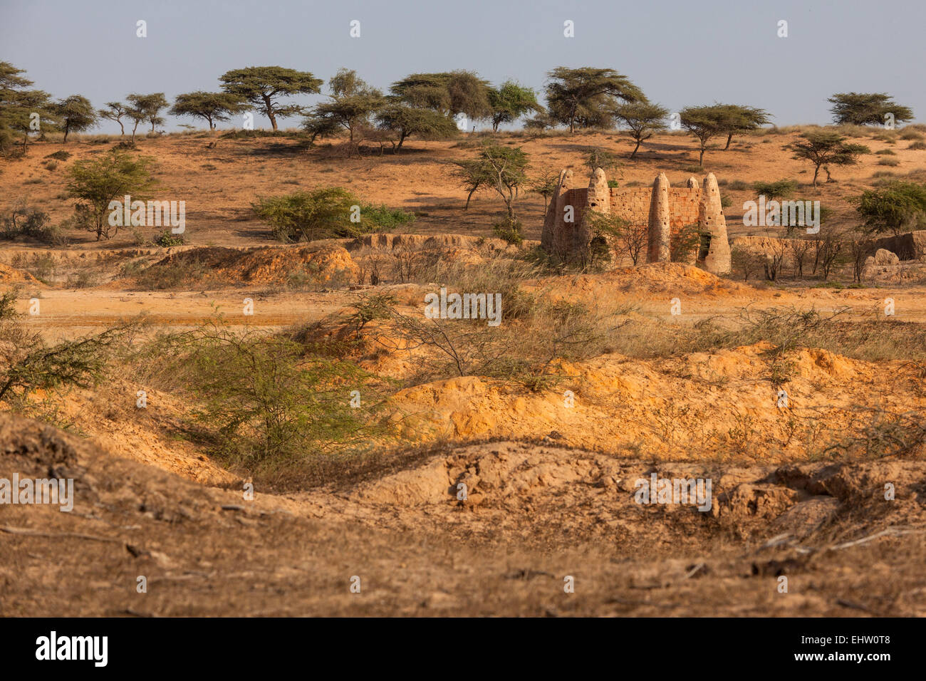 ILLUSTRATION DE L'Afrique de l'Ouest (Sénégal) Banque D'Images