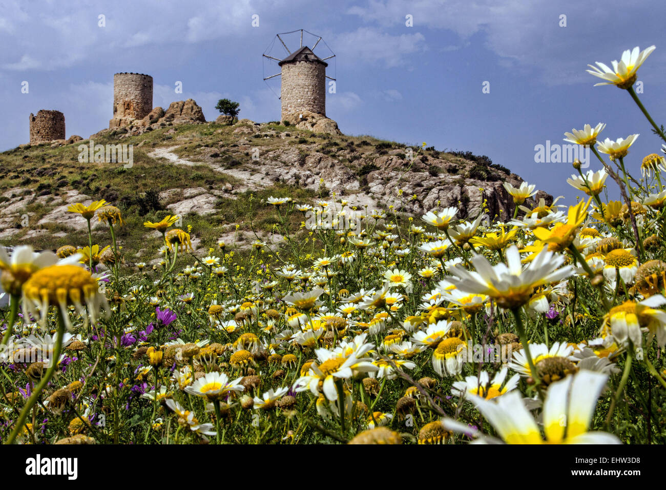 La Riviera d'OLIVE, TURQUIE Banque D'Images