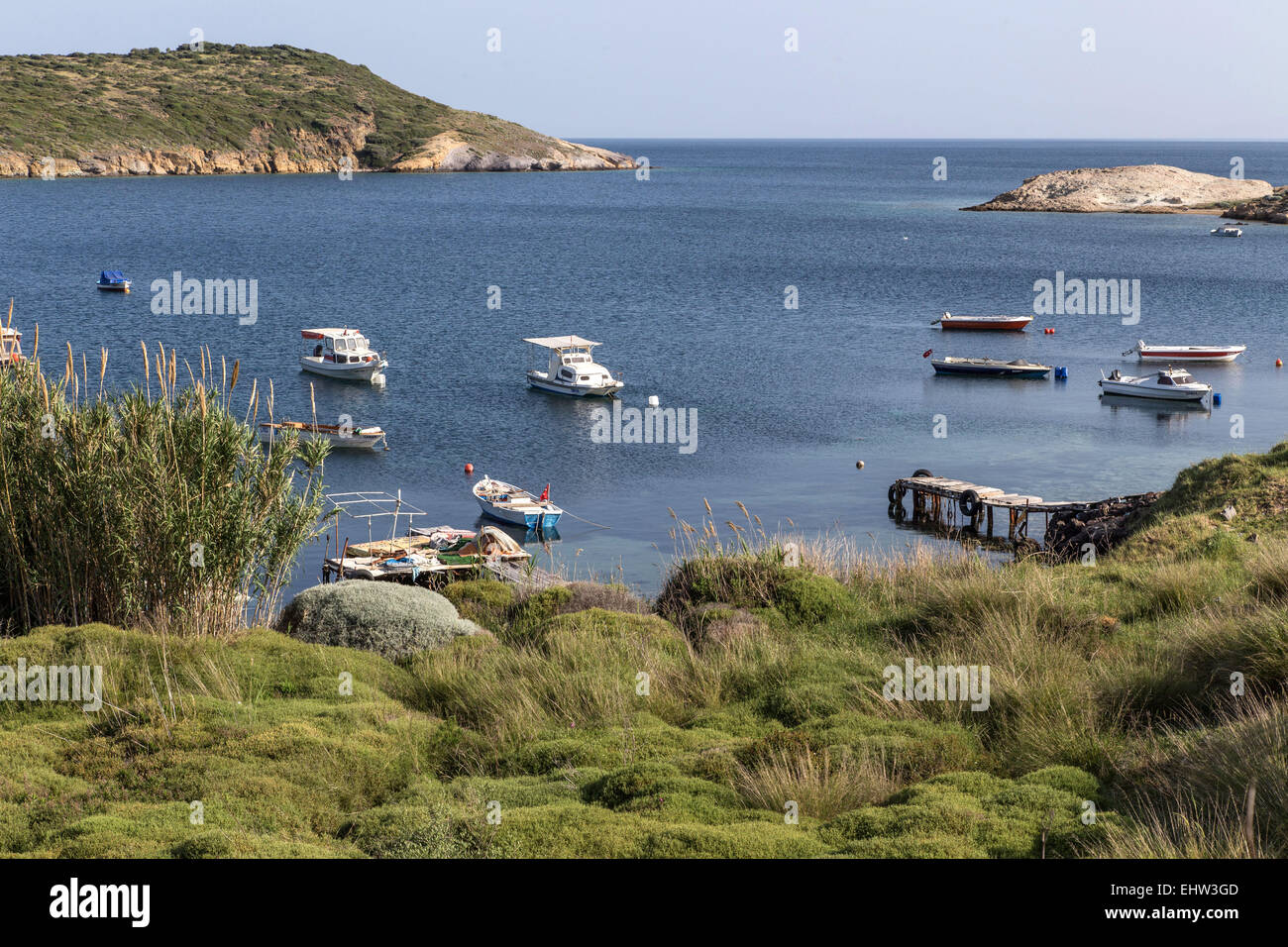 La Riviera d'olive, sur la mer Egée, en Turquie Banque D'Images