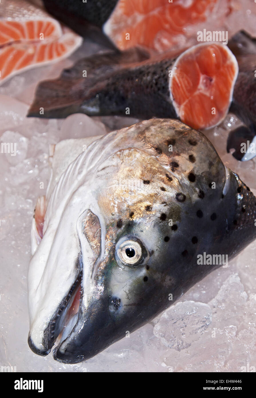 Saumon Banque D'Images