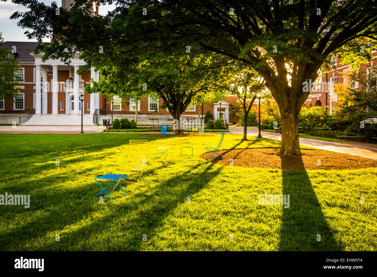 Arbre et Gilman Hall à l'Université John Hopkins de Baltimore, Maryland. Banque D'Images