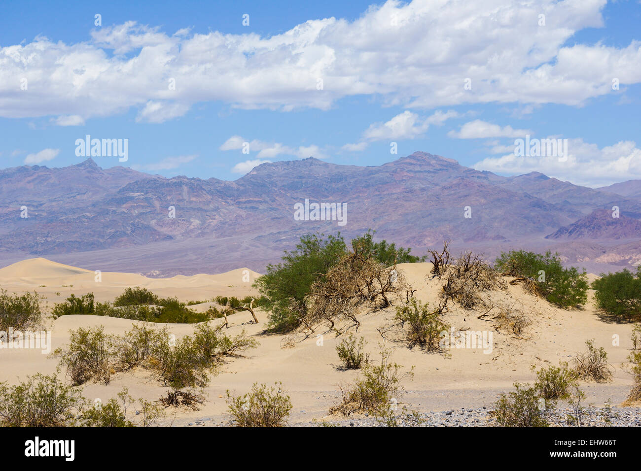 Death Valley - Mesquite Dunes Banque D'Images