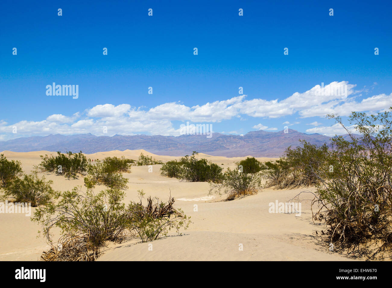 Death Valley - Mesquite Sand Dunes Banque D'Images