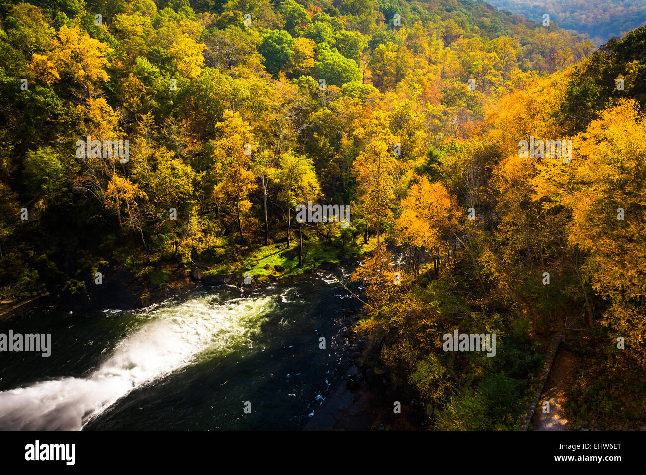 Vue sur la couleur en automne le long de la rivière de la poudre de Prettyboy Dam, dans Comté de Baltimore, Maryland. Banque D'Images