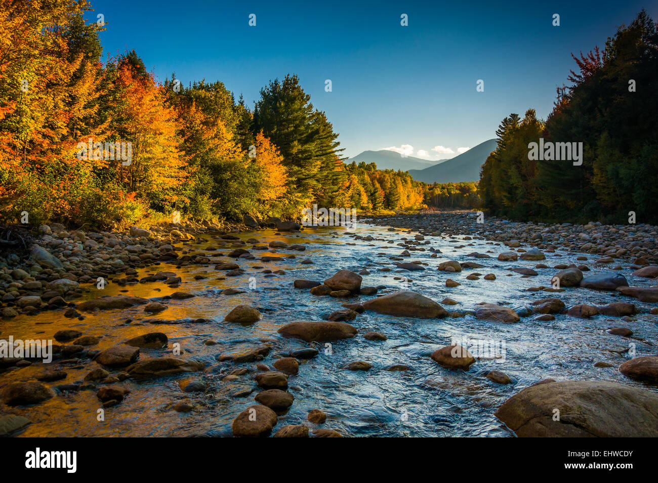 La couleur en automne le long de la rivière Peabody à White Mountain National Forest, New Hampshire. Banque D'Images
